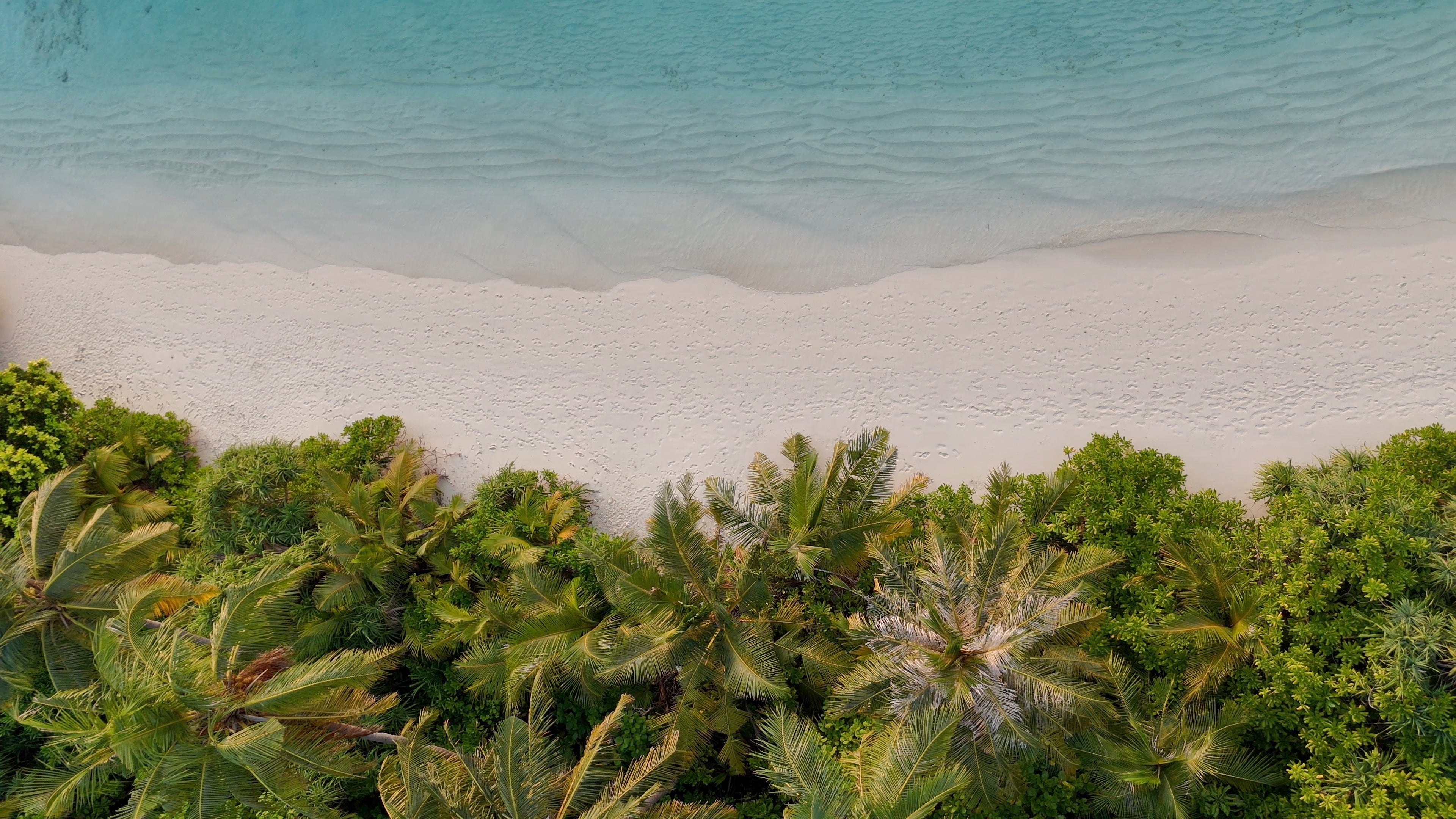 White sand beaches, turquoise seas, and palm trees that capture the calm, natural simplicity that inspires every product at Anare Naturals.